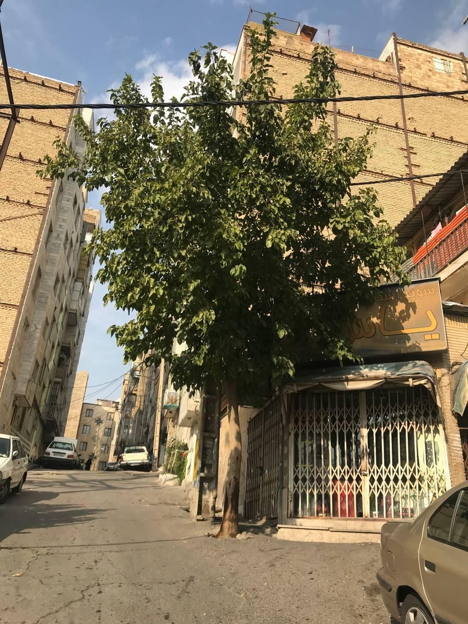 اجاره آپارتمان ۶۰ متری ۱ خوابه طبقه ۲|اجارهٔ آپارتمان|کرج, شهرک امام رضا|دیوار