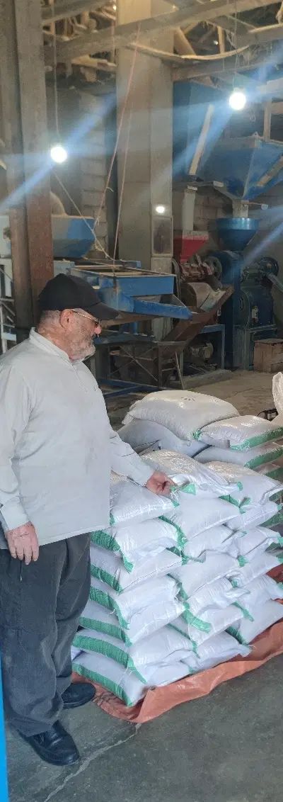 مرغوب ترین برنج هاشمی  گیلان مستقیم از شالیزار.|خوردنی و آشامیدنی|کرج, فاز ۱ مهرشهر|دیوار