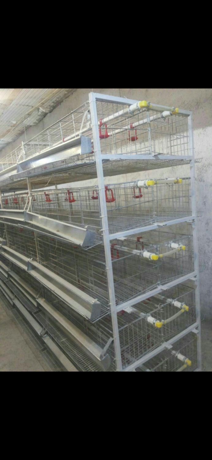 قفس مرغ،بلدرچین، کبک ،لاری|لوازم جانبی حیوانات|تهران, توحید|دیوار