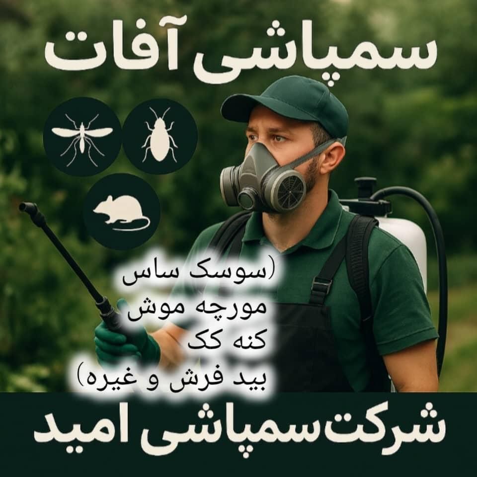 سمپاشی صددرصد تضمینی سم پاشی سوسک و ساس و ...|خدمات نظافت|تهران, تهرانپارس غربی|دیوار