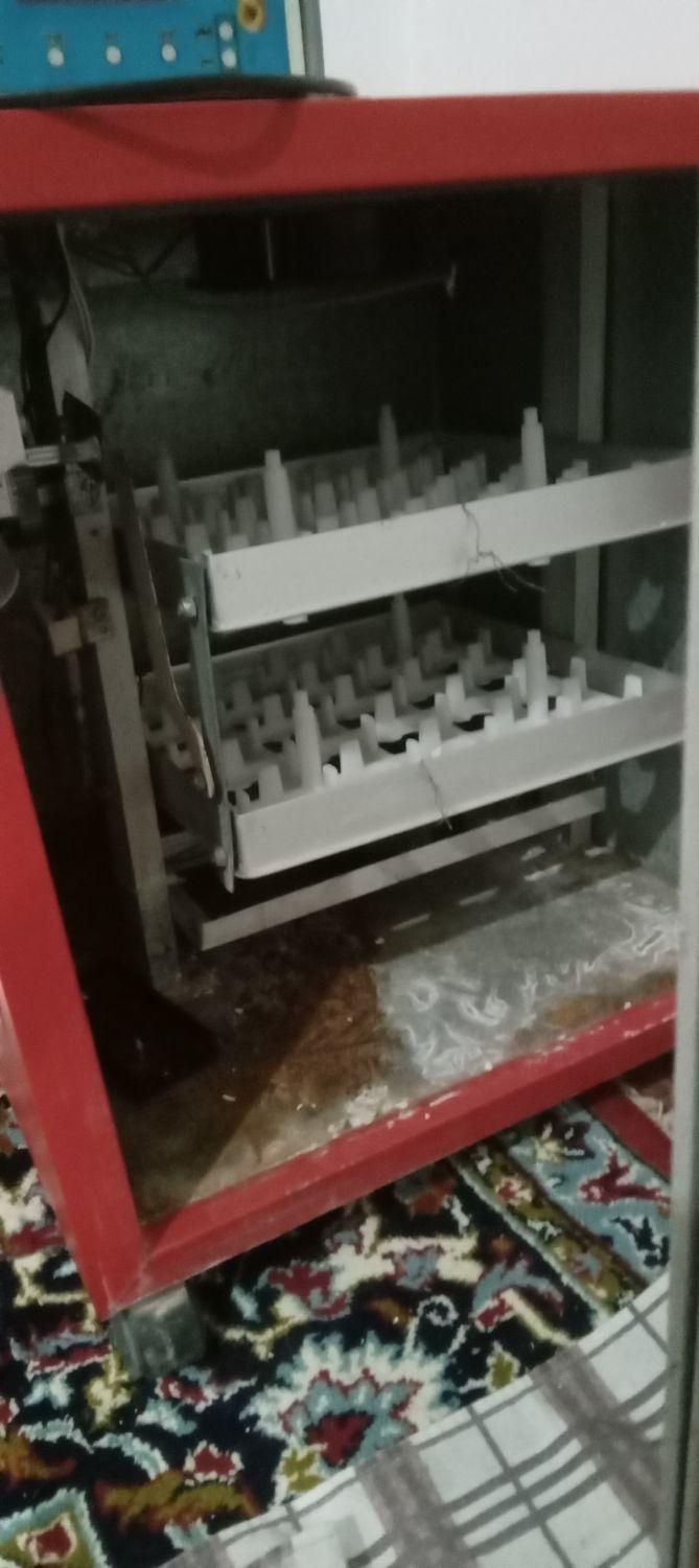 دستگاه جوجه کشی ۸۴تایی|لوازم جانبی حیوانات|نیشابور, شهرک فیروزه|دیوار