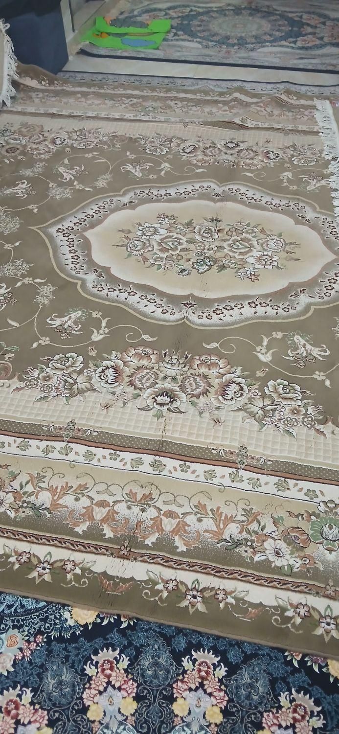 فرش ۱۲متری نو نو|فرش|گلستان (تهران), |دیوار