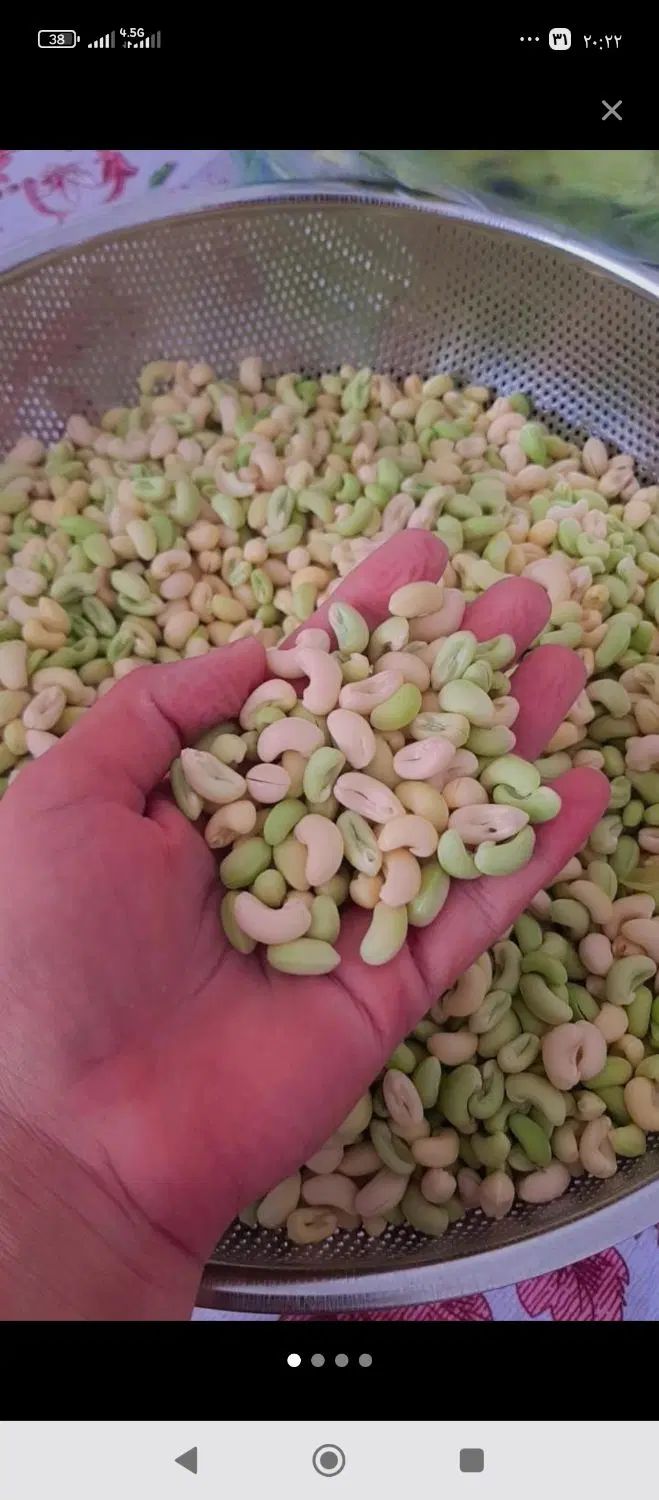 سفارش پاک کردن لوبیا چشم بلبلی و باقلا|خوردنی و آشامیدنی|رشت, استقامت ۲|دیوار