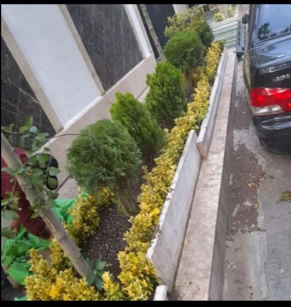 خدمات باغبانی کوددهی گلکاری کاشت گل هرس درختان|خدمات باغبانی و درختکاری|شهریار, ابراهیم‌آباد|دیوار