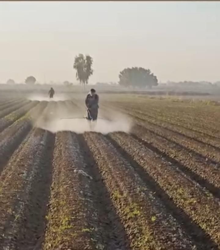 سمپاشی زمین کشاوزی با لانس|خدمات باغبانی و درختکاری|پارسآباد, |دیوار