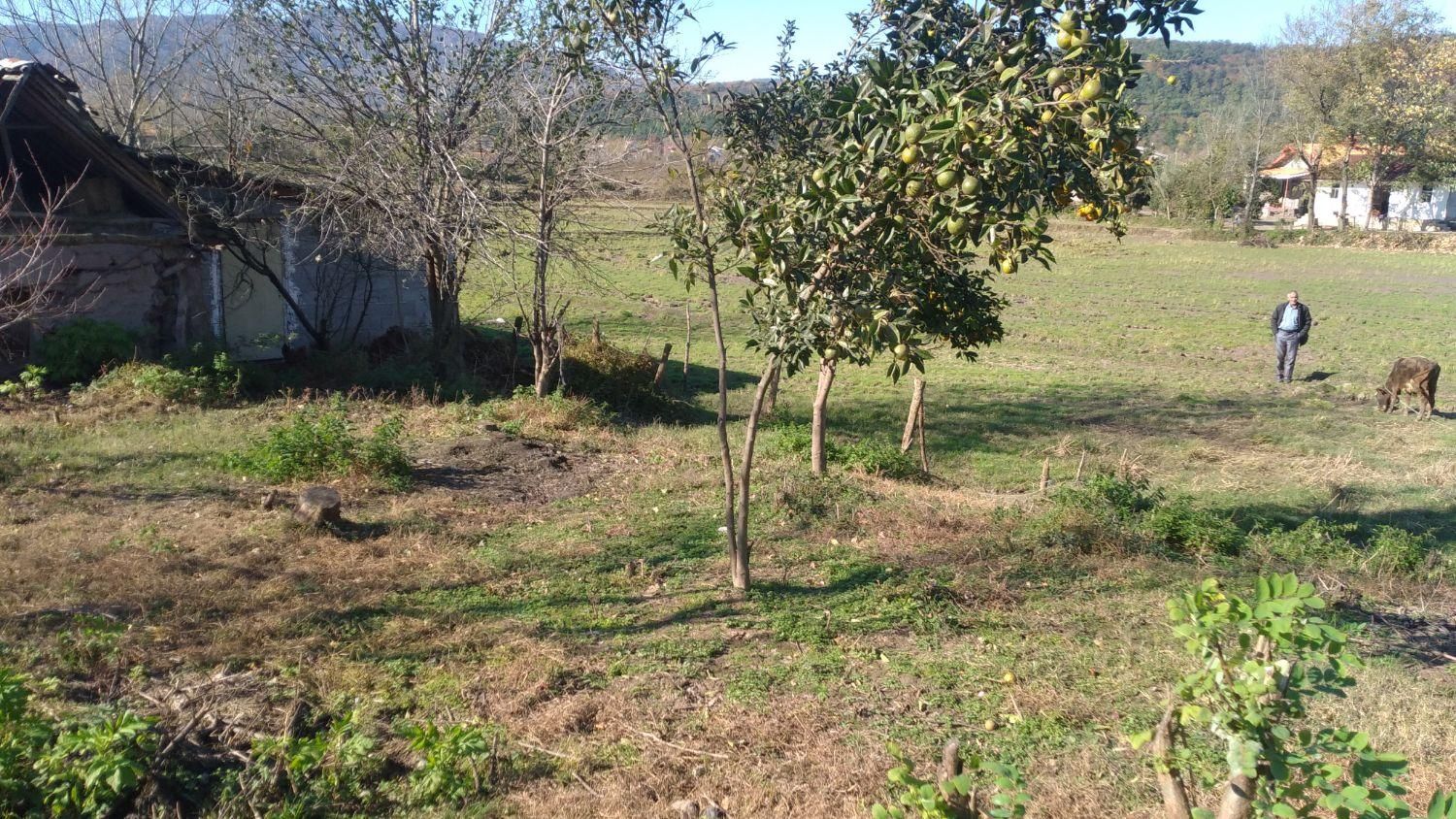 زمین مسکونی ۳۰۰متری سراوان بازارچه شهرستان|فروش زمین و ملک کلنگی|سنگر, |دیوار