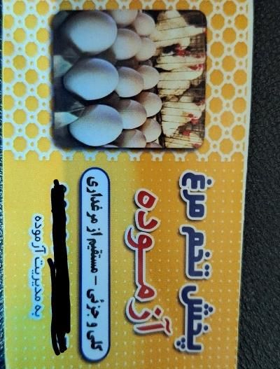 تخم مرغ روز|خوردنی و آشامیدنی|رشت, قاسمیه|دیوار
