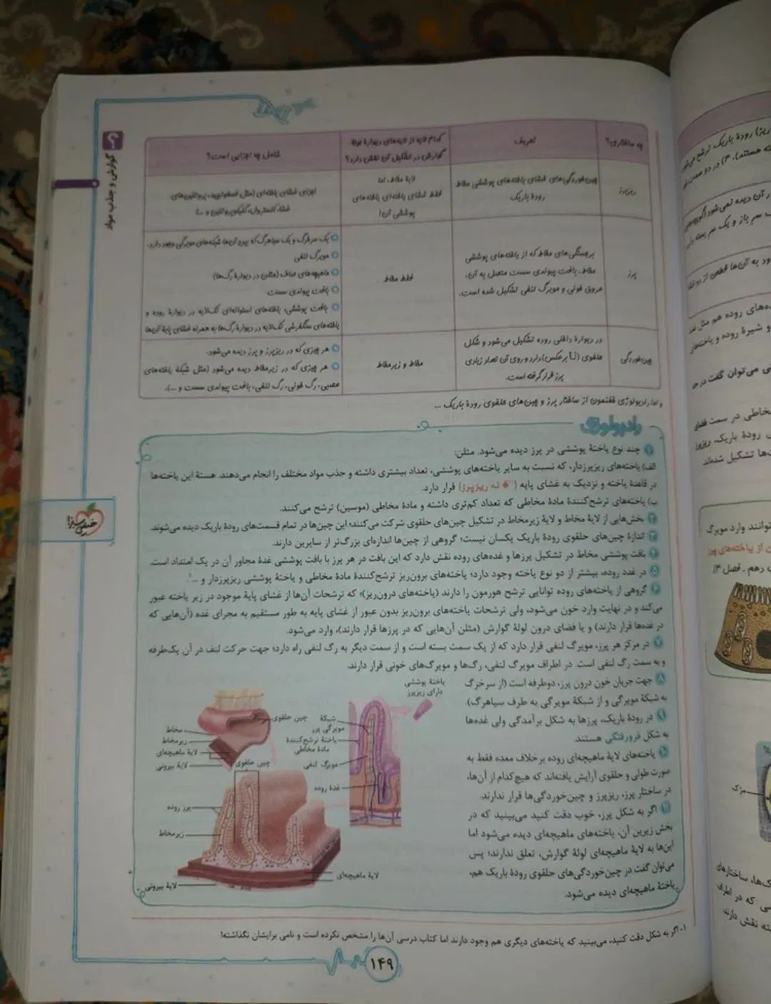 زیست شناسی دهم یازدهم دوازدهم خیلی سبز|کتاب و مجله آموزشی|تهران, فردوسی|دیوار