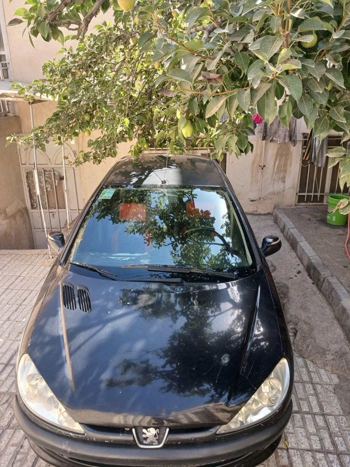 پژو 206 تیپ ۲، مدل ۱۳۸۹|خودرو سواری و وانت|مشهد, خواجه ربیع|دیوار