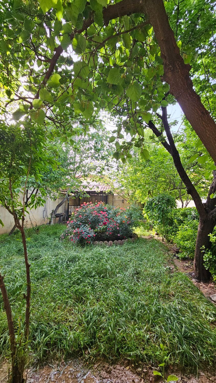 اجاره روزانه باغ جاده سنندج|اجارهٔ کوتاهمدت ویلا و باغ|کرمانشاه, |دیوار