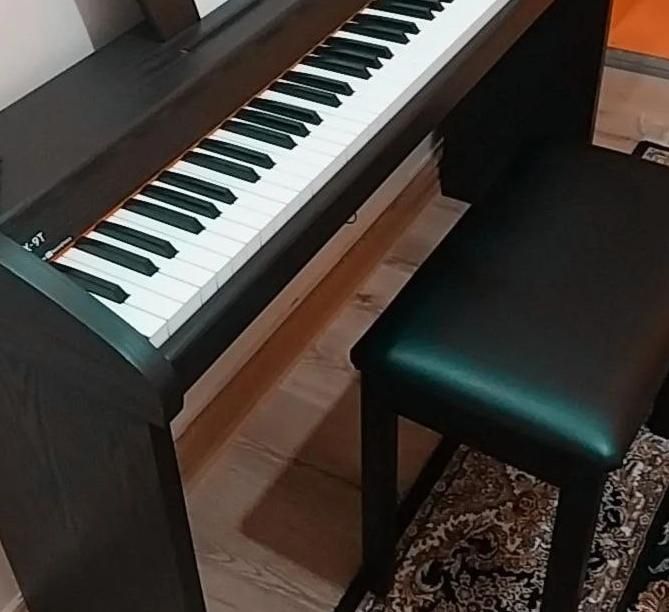 پیانو|پیانو، کیبورد، آکاردئون|تبریز, |دیوار