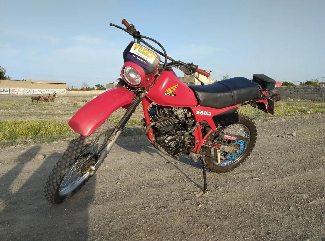 تریل هندا اکسلXL250 ژاپنی|موتورسیکلت|مشهد, امیریه|دیوار