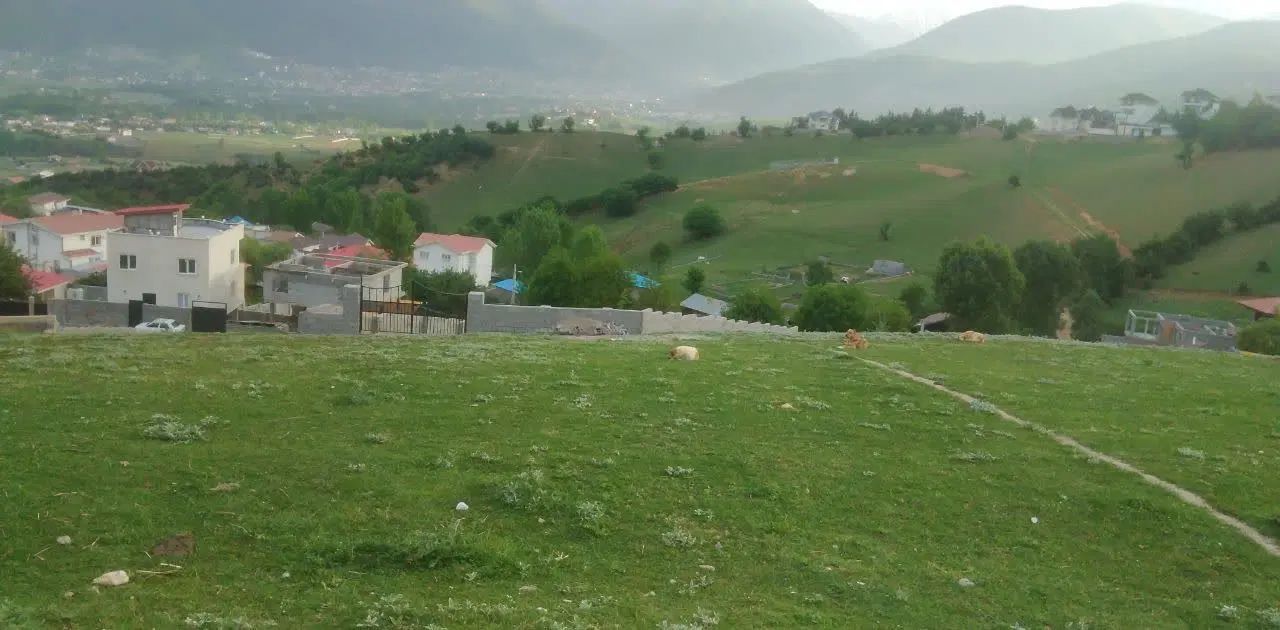زمین ۳۶۵ با کاربری مسکونی، در منطقه رو به رشد.|فروش زمین و ملک کلنگی|کلاردشت, |دیوار