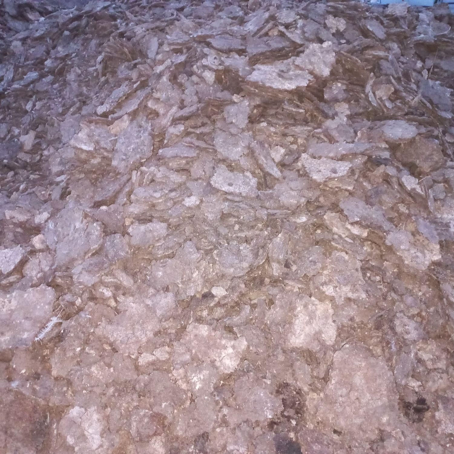 بشرط سالنی کود مرغی|حراج|رامشیر, |دیوار