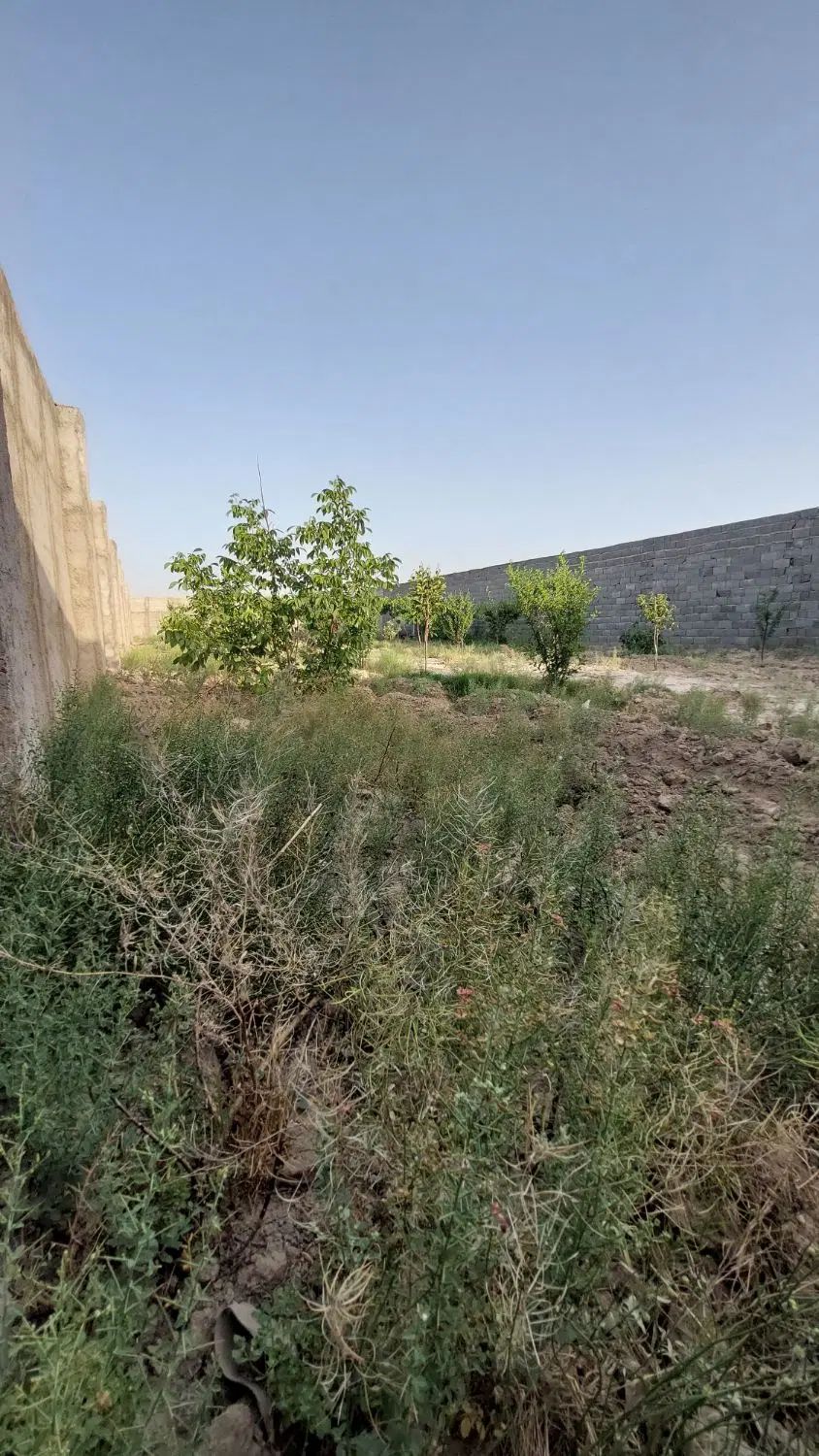باغ چهاردیواری ۸۰۰ متر دهشاد شهریار نعمت آباد بکه|فروش دفتر صنعتی، کشاورزی، تجاری|شهریار, دهشاد بالا|دیوار