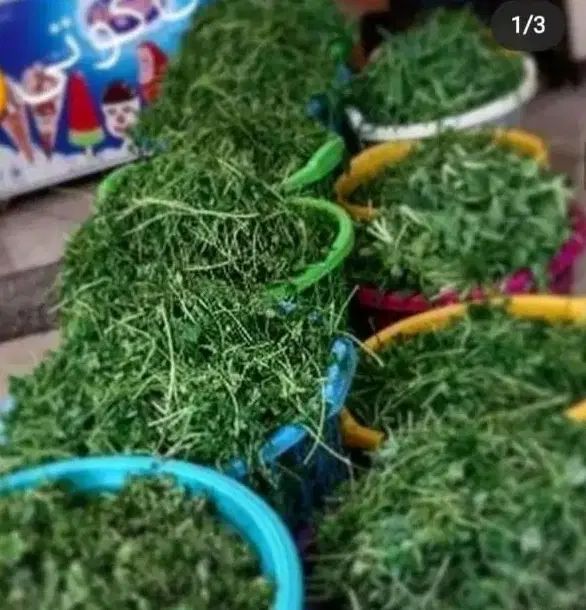 لوبیا سبز وسبزی تمیز میکنیم الوهم پوست میکنیم|خوردنی و آشامیدنی|نیشابور, خیام|دیوار
