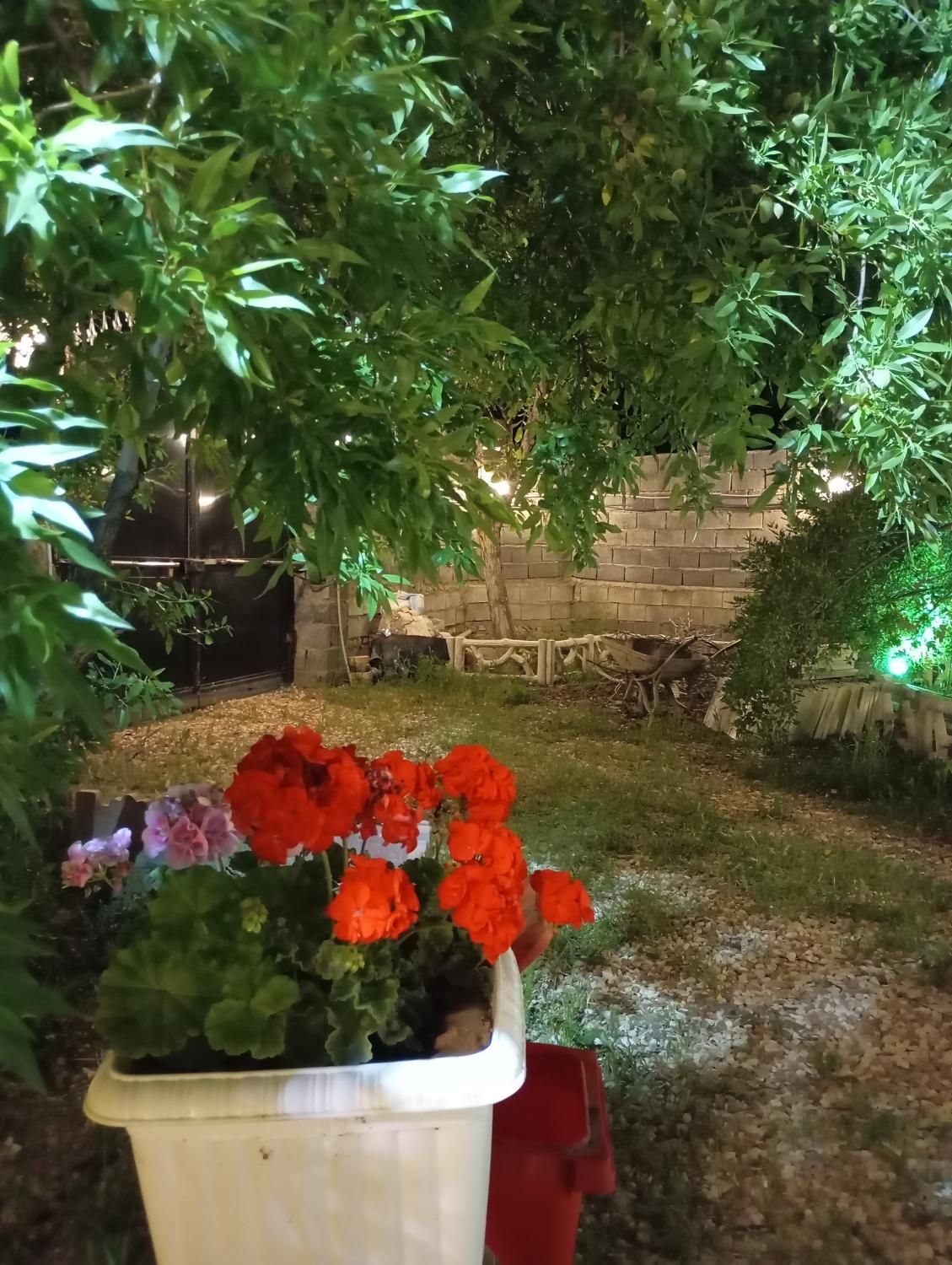 سوییت باغ با همه امکانات بکر و با چشم انداز زیبا|اجارهٔ کوتاه‌مدت آپارتمان و سوئیت|خوانسار, |دیوار