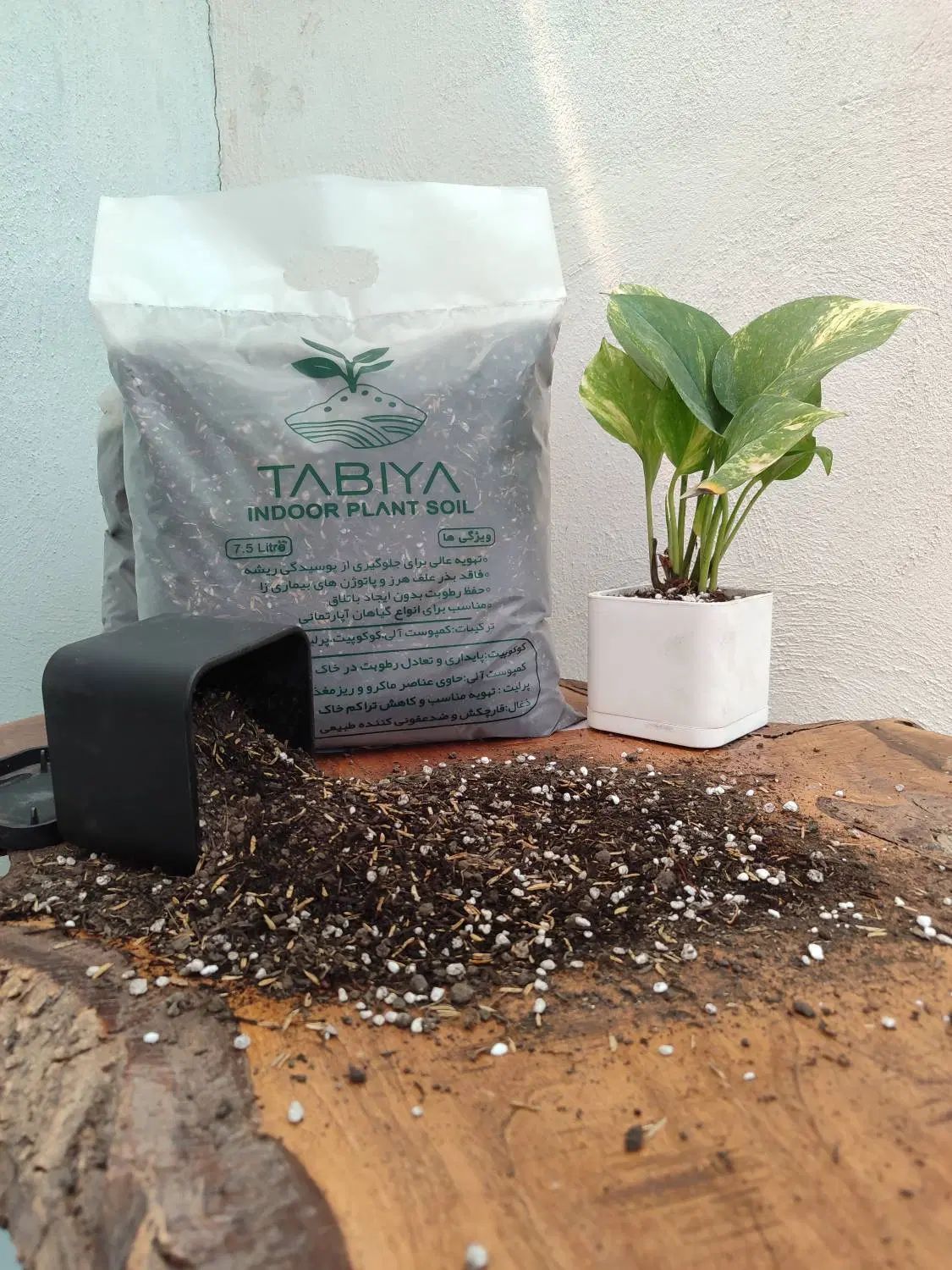 خاک گل TABIYA|گل و گیاه طبیعی|تهران, کوی بیمه|دیوار