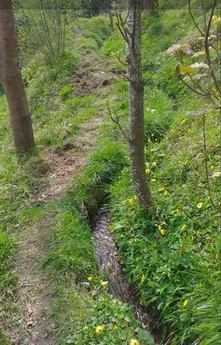 باغ 1000 متری مشجر لب رودخانه|فروش زمین و ملک کلنگی|رانکوه, |دیوار