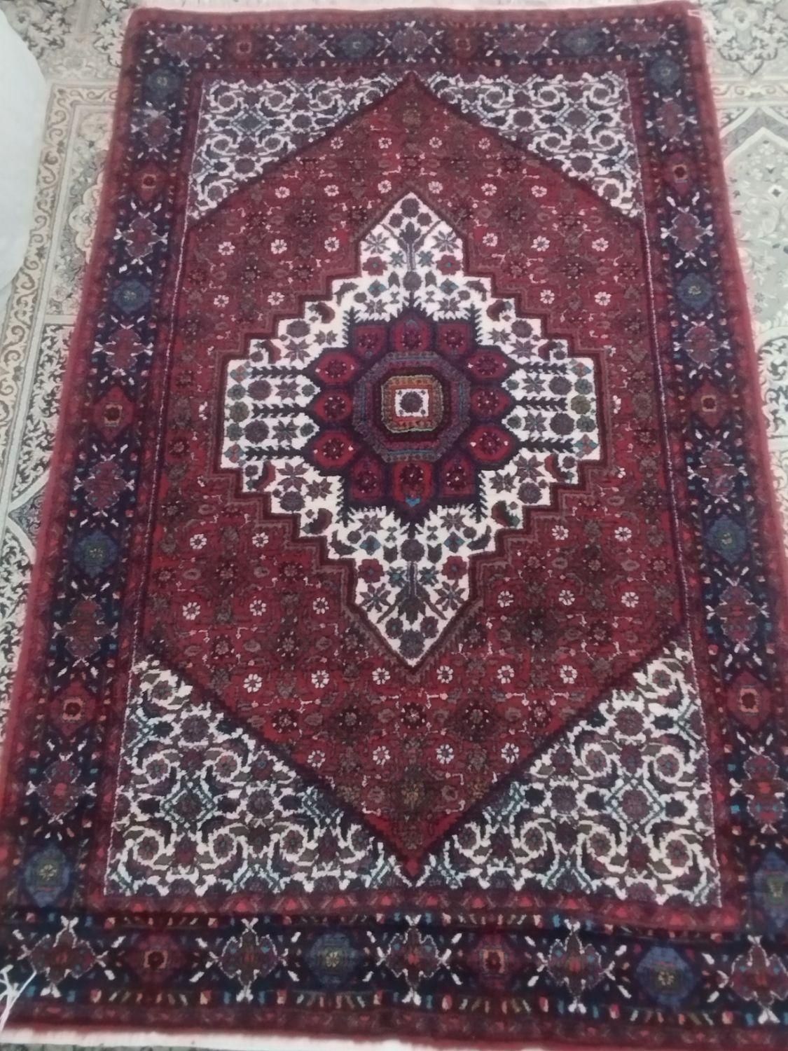 تخفیف هم پای معامله داده‌.میشود|گلیم، جاجیم، گبه|شیراز, شهرک امام حسن|دیوار