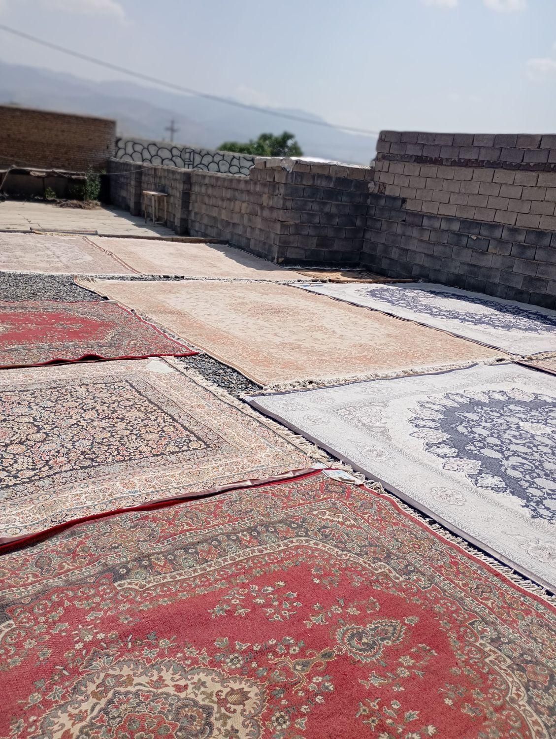 الو قالیشویی|خدمات نظافت|همدان, |دیوار