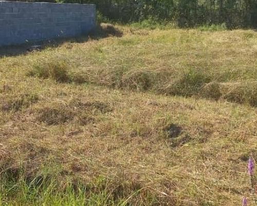 زمین مسکونی لاهیجان ویو ابدی تالاب|فروش زمین و ملک کلنگی|لاهیجان, بوجایه|دیوار