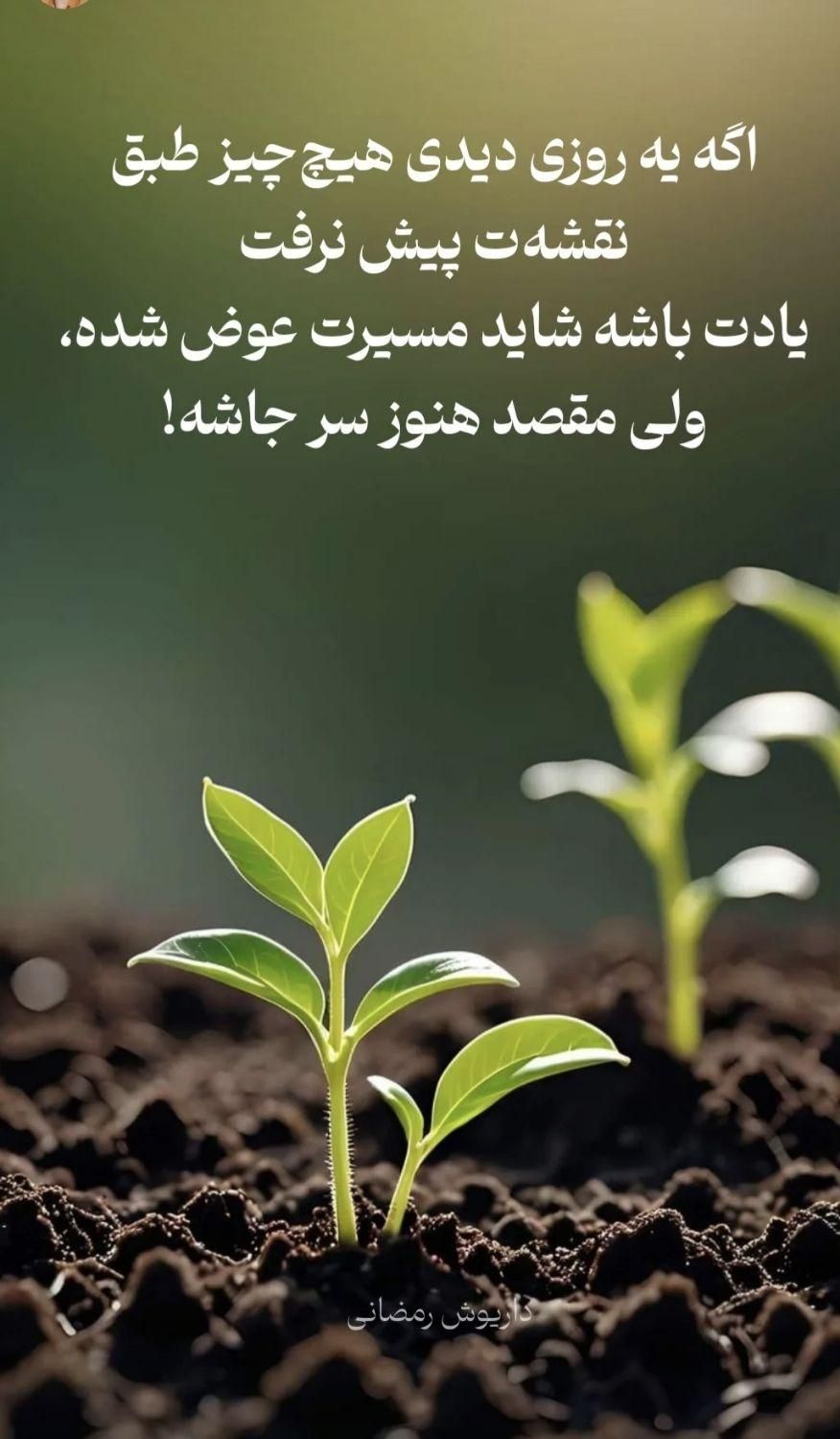 ۱۹۹مترزمین برخیابون  تهاتر باواحد درتهران|فروش زمین و ملک کلنگی|اندیشه, اندیشه فاز ۴|دیوار