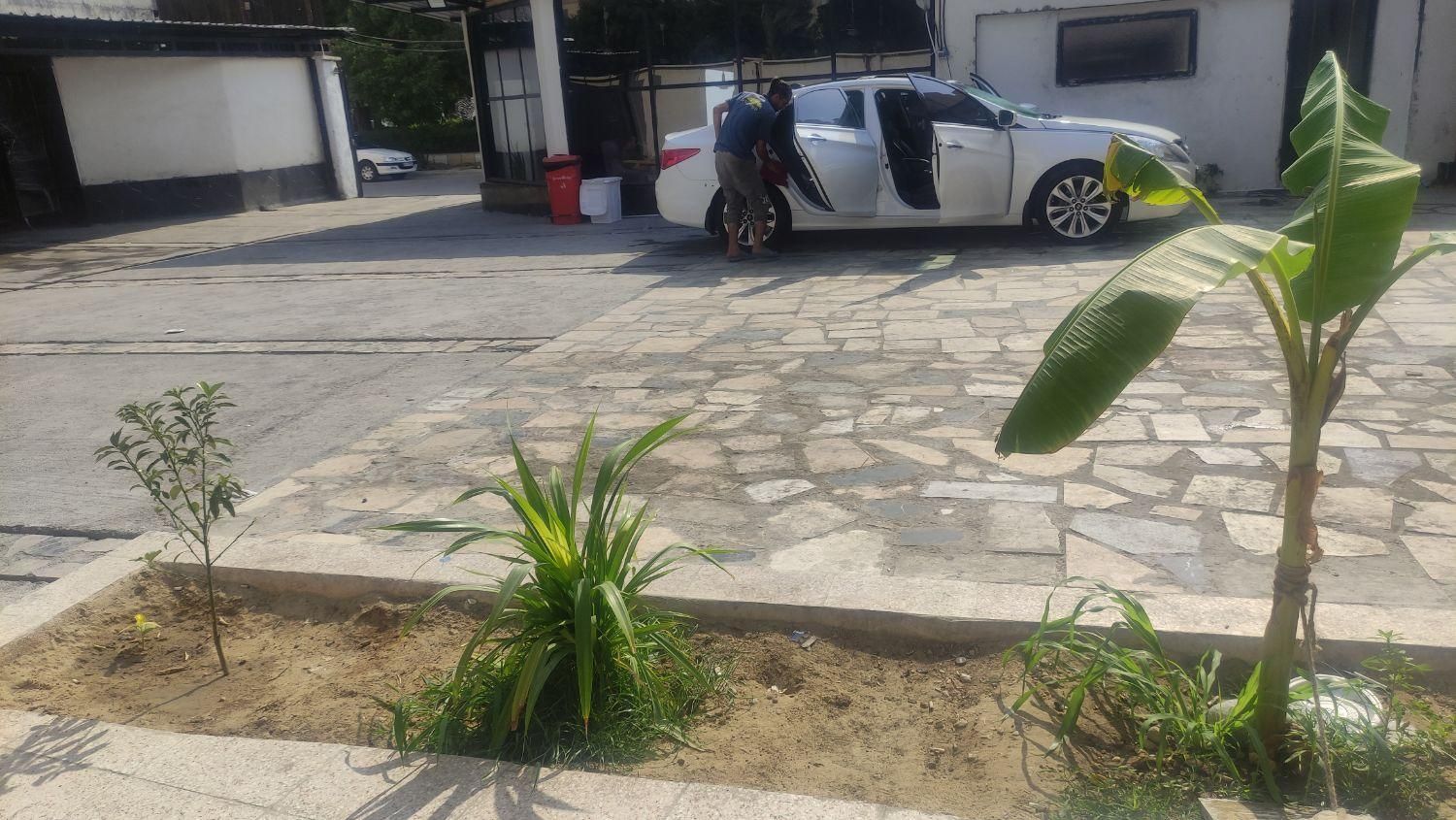 استاد کار کارواش کار|استخدام سرایداری و نظافت|بندرعباس, |دیوار