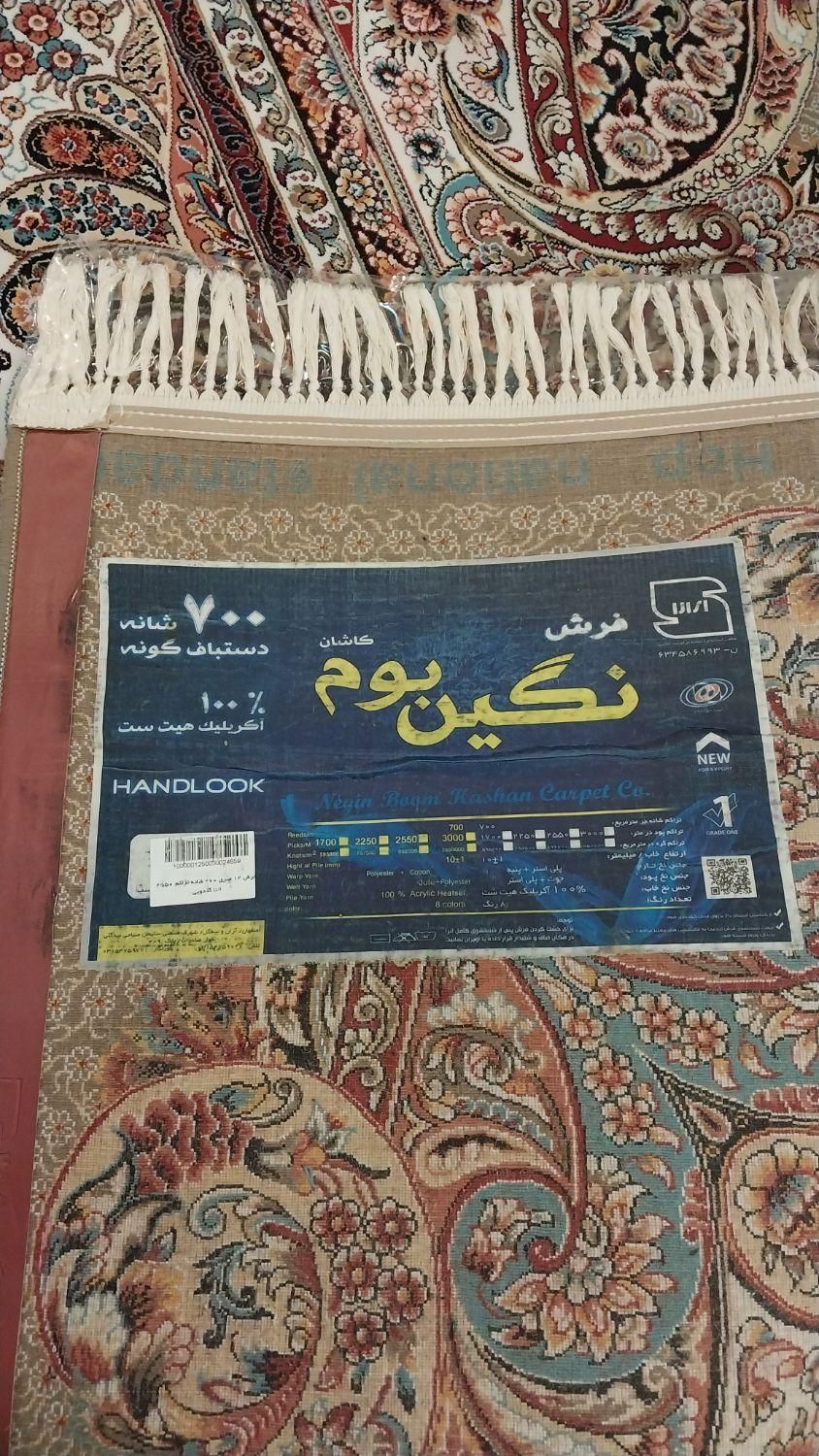 فرش دوازده متری کاشان|فرش|آمل, |دیوار