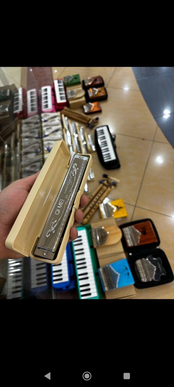 اکارینا سازدهنی (دودوک melodika کالیمبا)|سازهای بادی|شیراز, سینما سعدی|دیوار