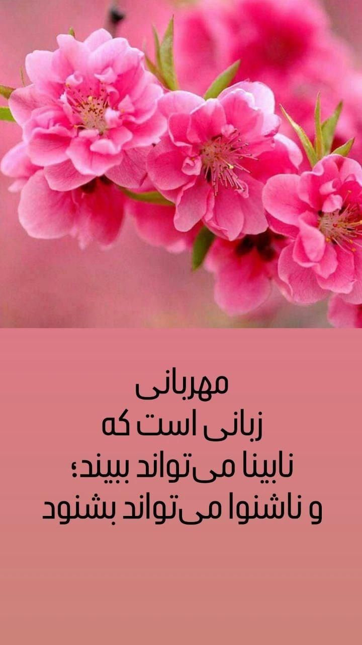 پرستاری ازکودک وسالمندوخدمات امورمنزل|استخدام درمانی، زیبایی، بهداشتی|مشهد, احمدآباد|دیوار