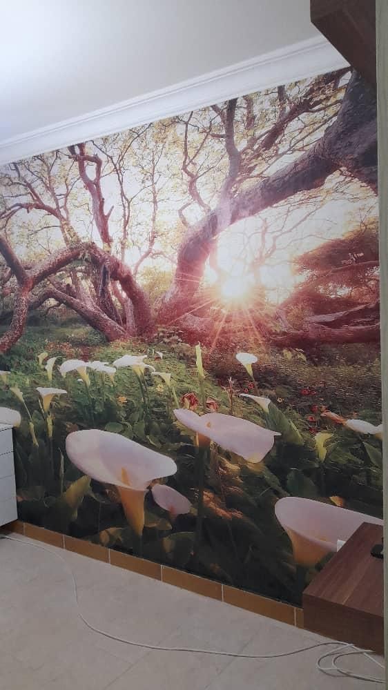 کاغذدیواری ۱۴ماهه ویژه(فرهنگیان و بازنشستگان و چک)|خدمات پیشه و مهارت|رشت, انصاری|دیوار