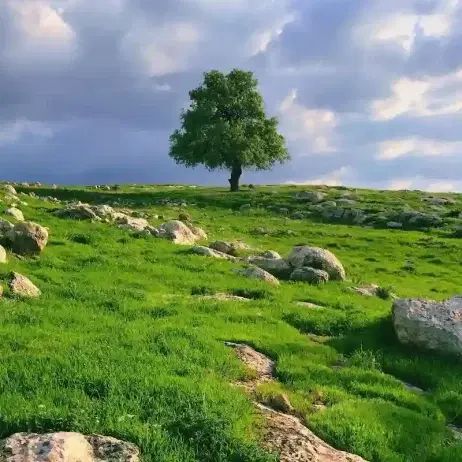 ماساژ و انرژی درمانی و فرم و حجم دهی بدن و زیبایی|خدمات آرایشگری و زیبایی|تهران, ولنجک|دیوار