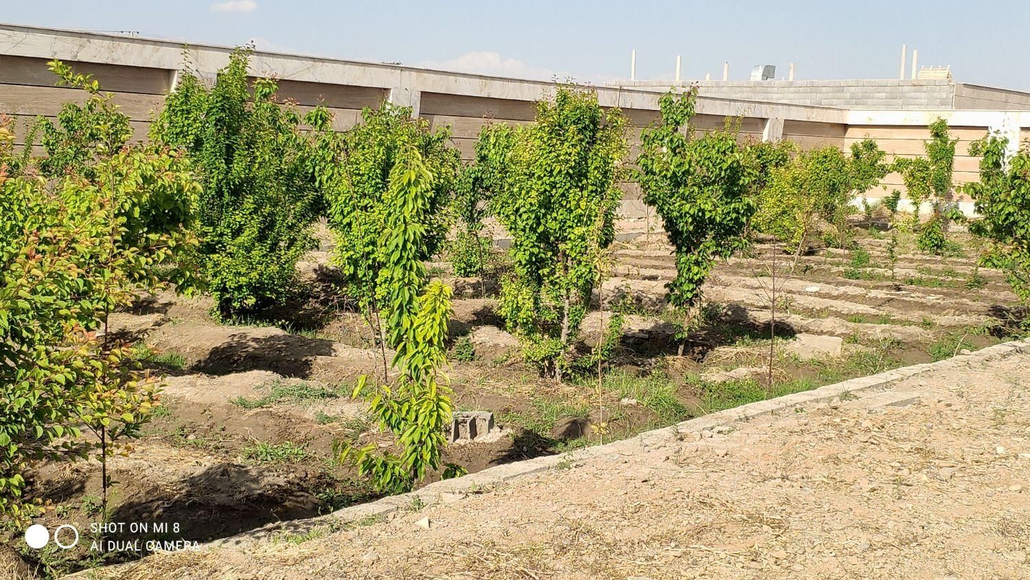 چهار دیواری باغ گاز آب شهری سند تک برگ جار|فروش زمین و ملک کلنگی|اصفهان, آبشار|دیوار