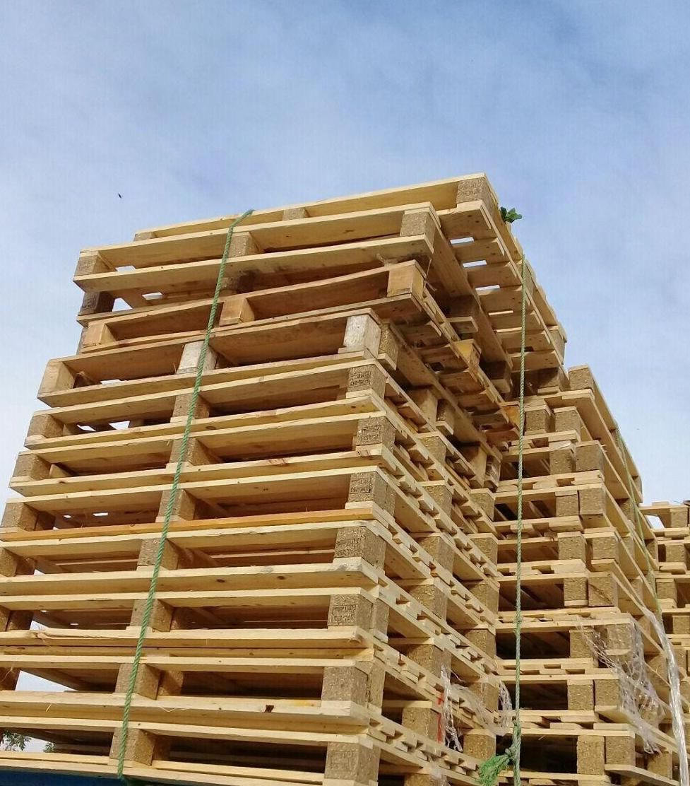 پالت چوبی و پلاستیکی . خرید و فروش انواع|عمده‌فروشی|قرچک, پویینک|دیوار