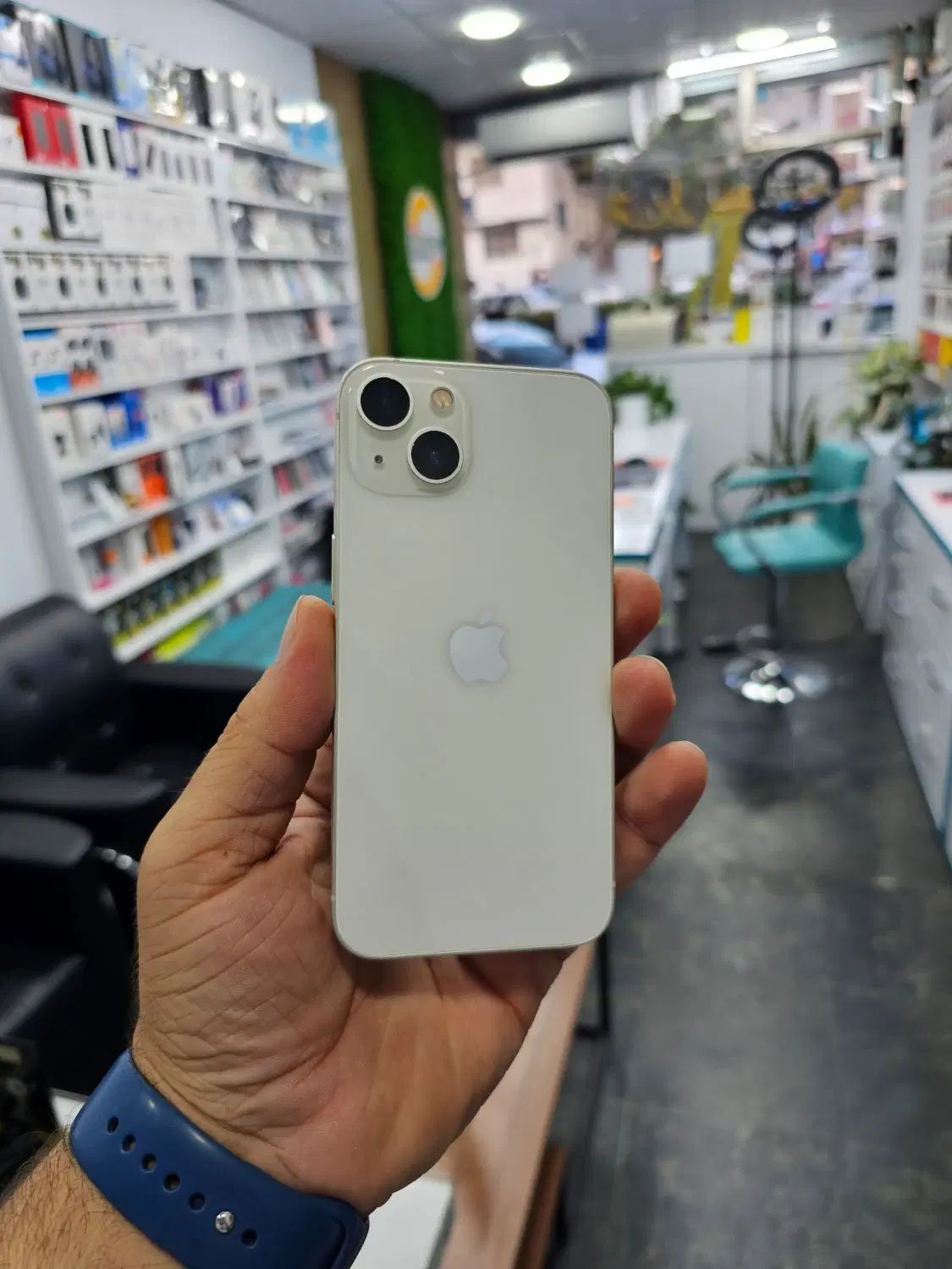 Iphone 13 256GB|موبایل|رشت, حاجی آباد|دیوار