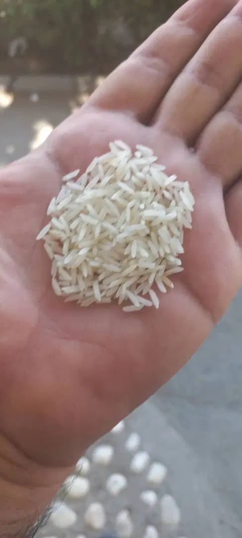 برنح هندی و پاکستانی|خوردنی و آشامیدنی|اصفهان, جوزدان الیادران|دیوار