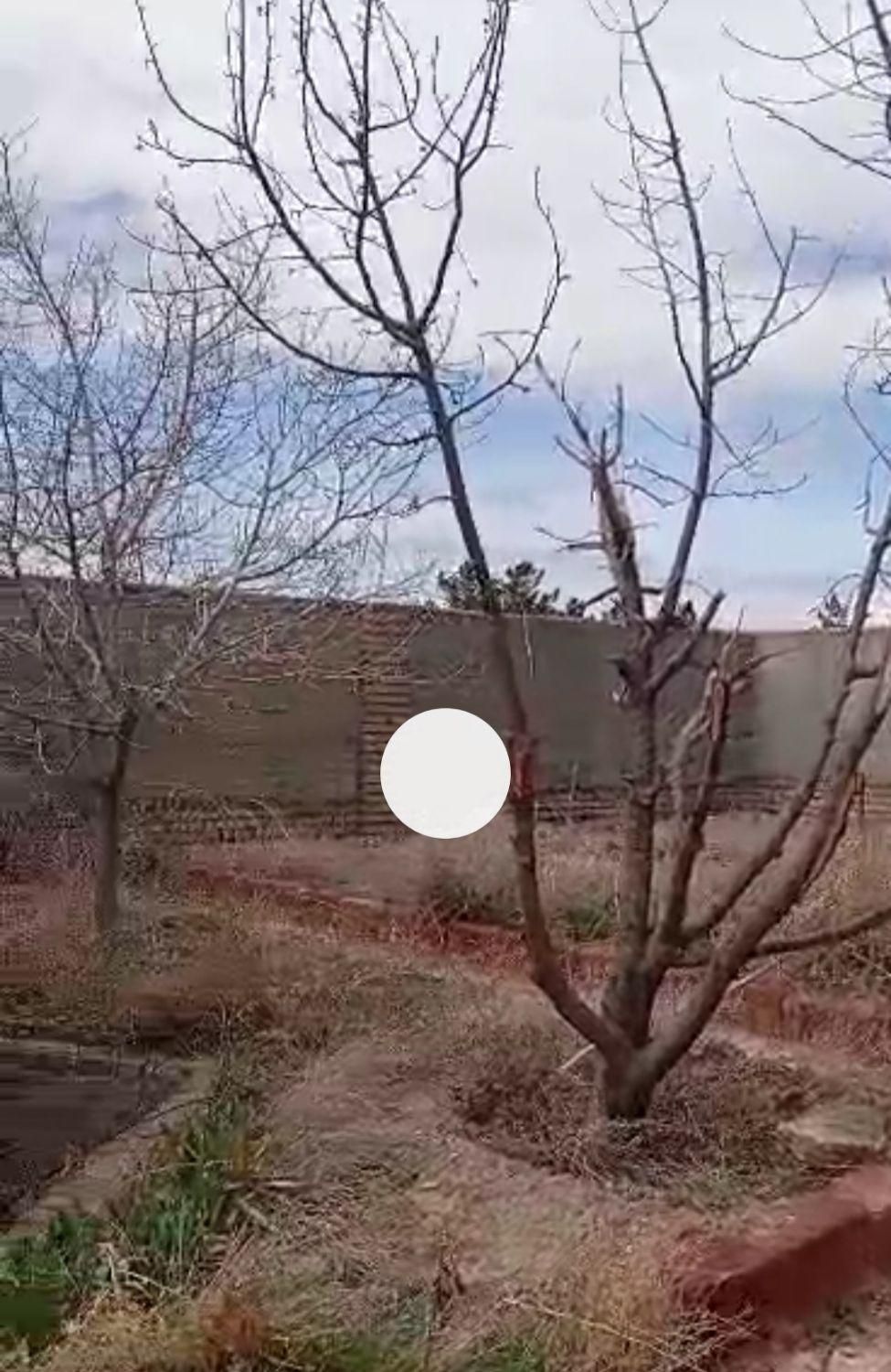 بینالود ۳۲۵ متر زمین مسکونی|فروش زمین و ملک کلنگی|مشهد, وکیل‌آباد|دیوار