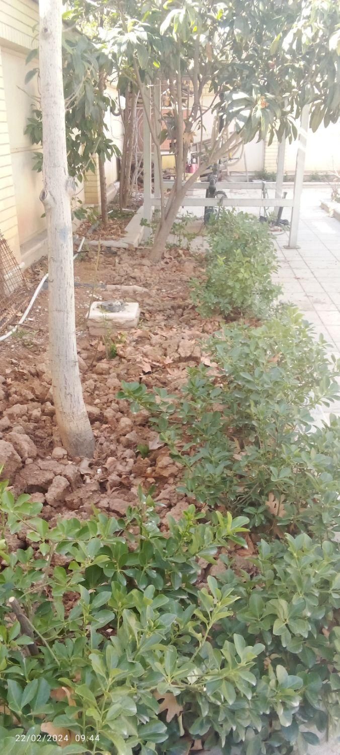 خدمات باغبانی درخت کاری سم پاشی گل کاری|خدمات باغبانی و درختکاری|شیراز, قصرالدشت|دیوار