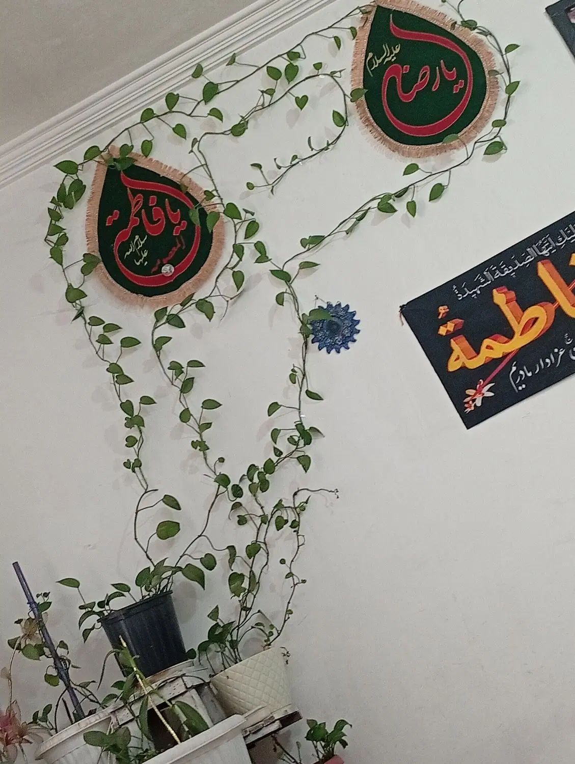 پایه گل با 8عدد گلدان|گل و گیاه طبیعی|مشهد, رسالت|دیوار