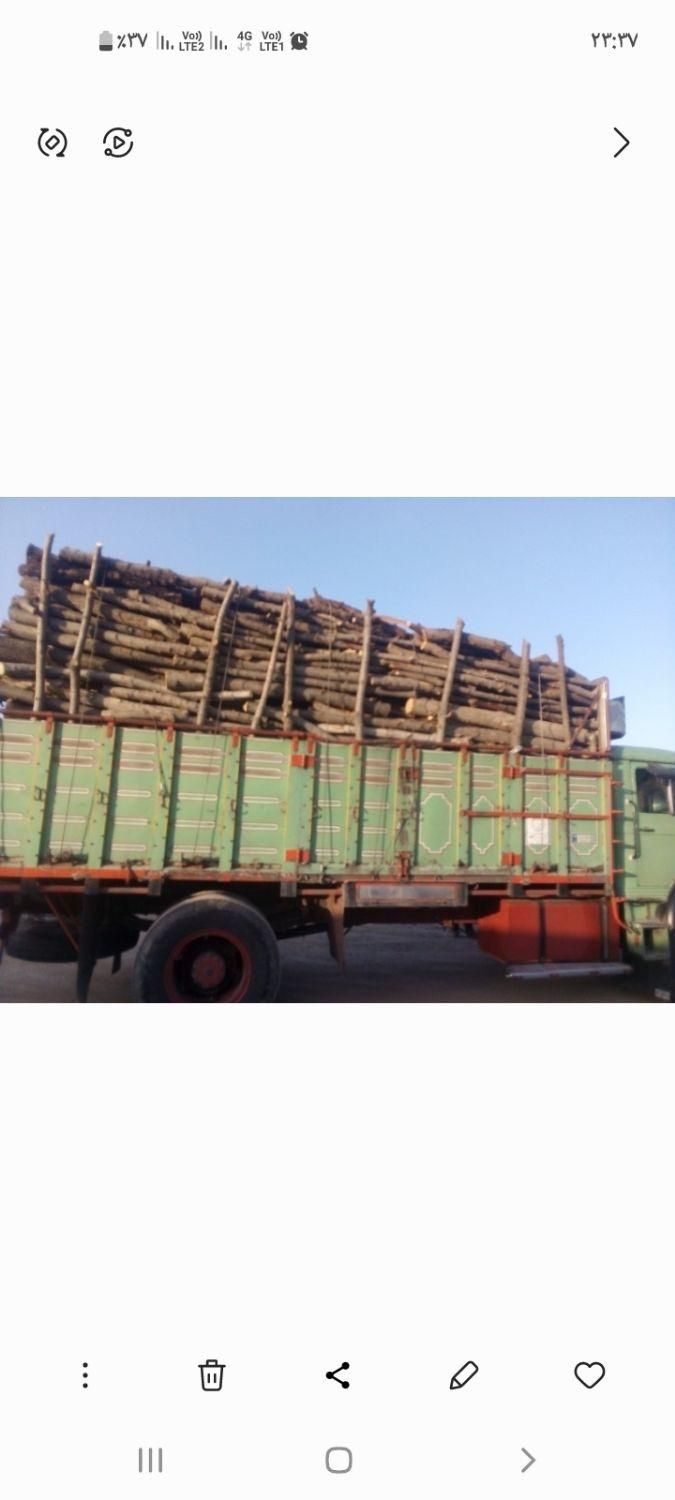 خریدچوب‌سقفی..قعط‌وهرس‌‌درخت|خدمات باغبانی و درختکاری|مشهد, توس فردوسی|دیوار
