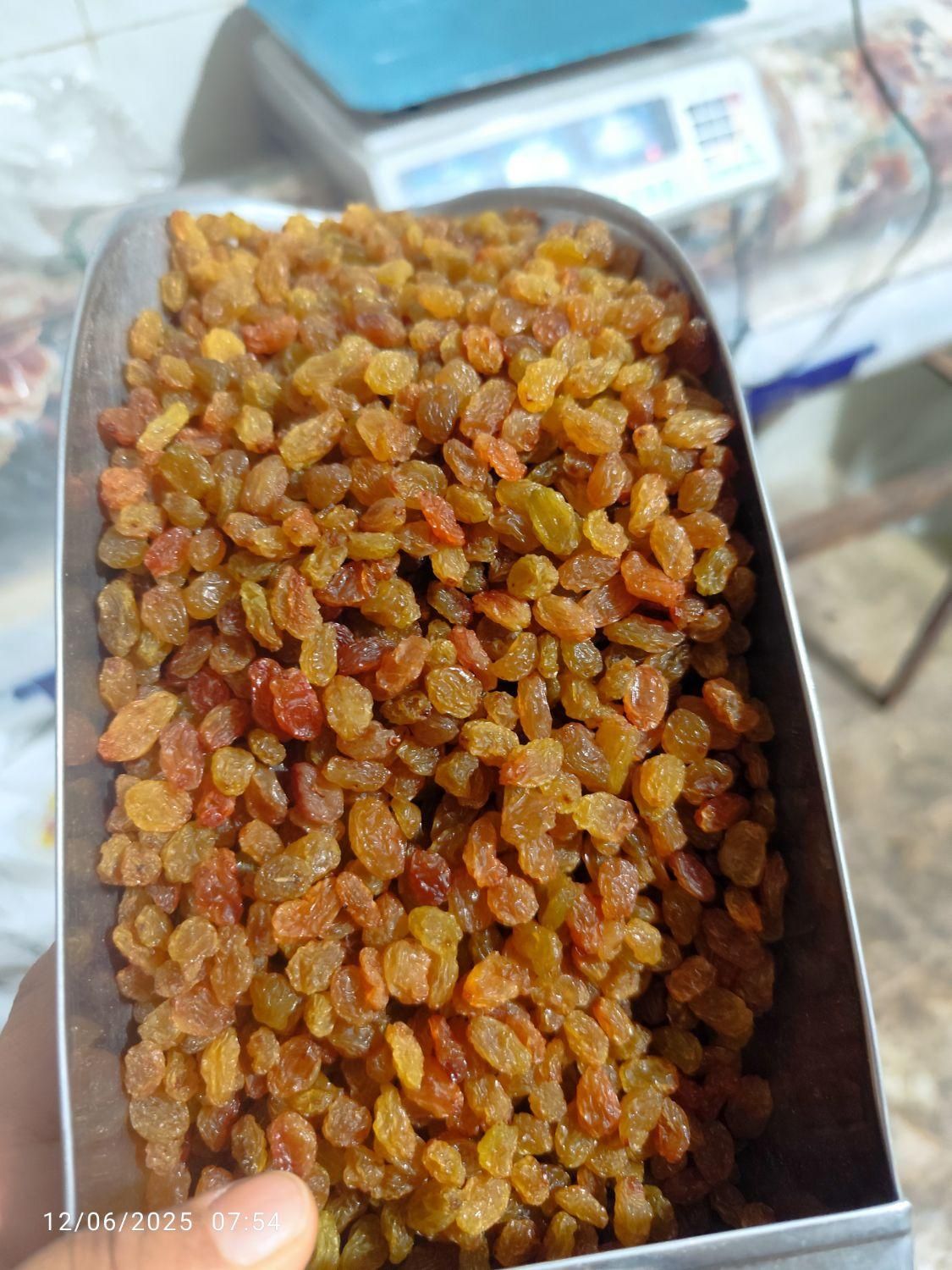 انواع اجیل|خوردنی و آشامیدنی|اهواز, شریعتی جنوبی|دیوار