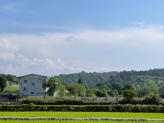 فروش زمین جنگلی اقساطی سر آسفالت|فروش زمین و ملک کلنگی|آمل, |دیوار