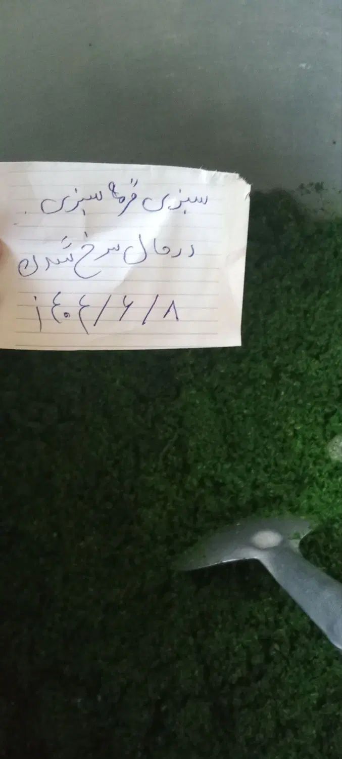 سبزی قرمه سبزی آش ونعنا شیره ی انگور عسگری|خوردنی و آشامیدنی|نیشابور, امام خمینی|دیوار