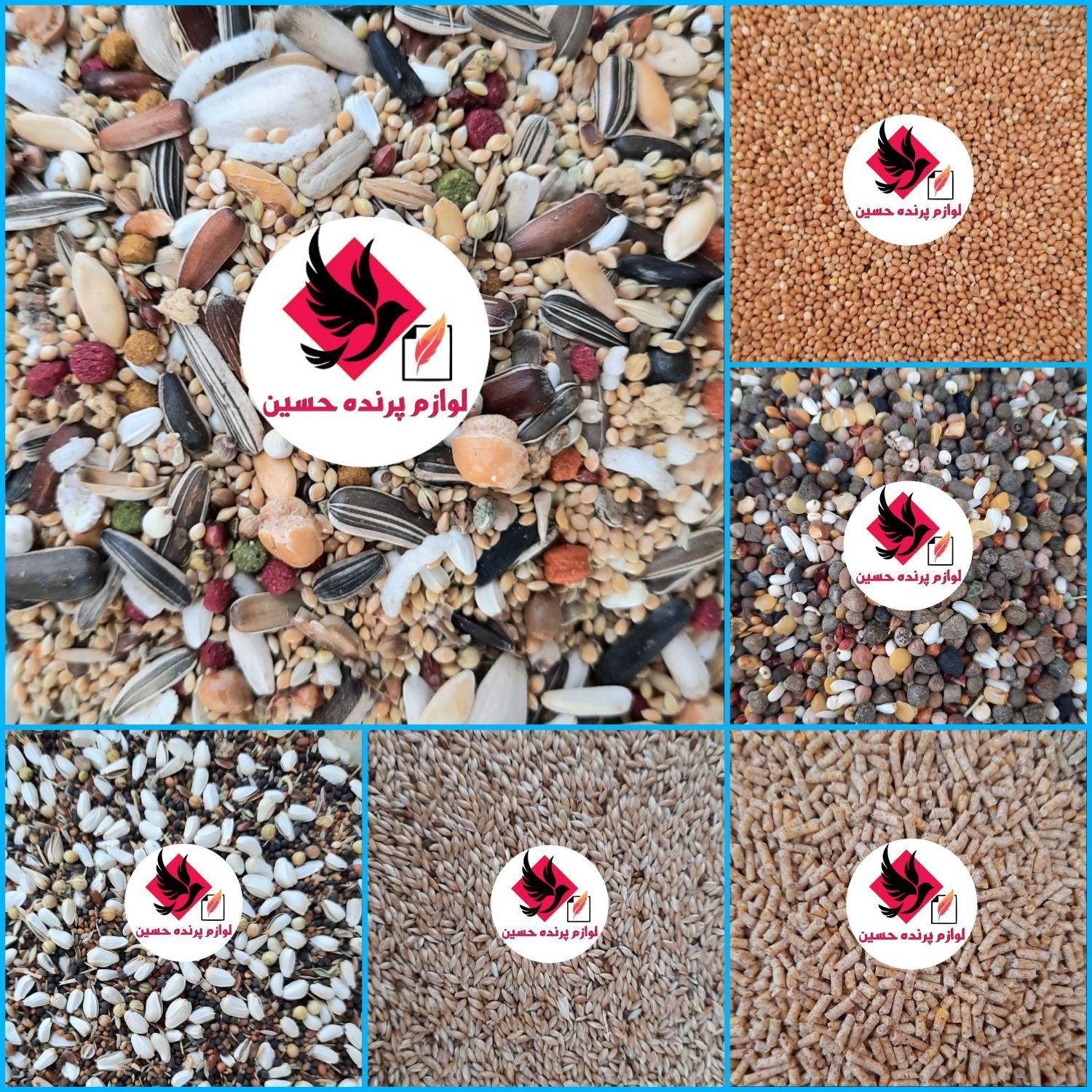 انواع قفس،دانه و لوازم پرنده (حسین)|لوازم جانبی حیوانات|ملایر, |دیوار