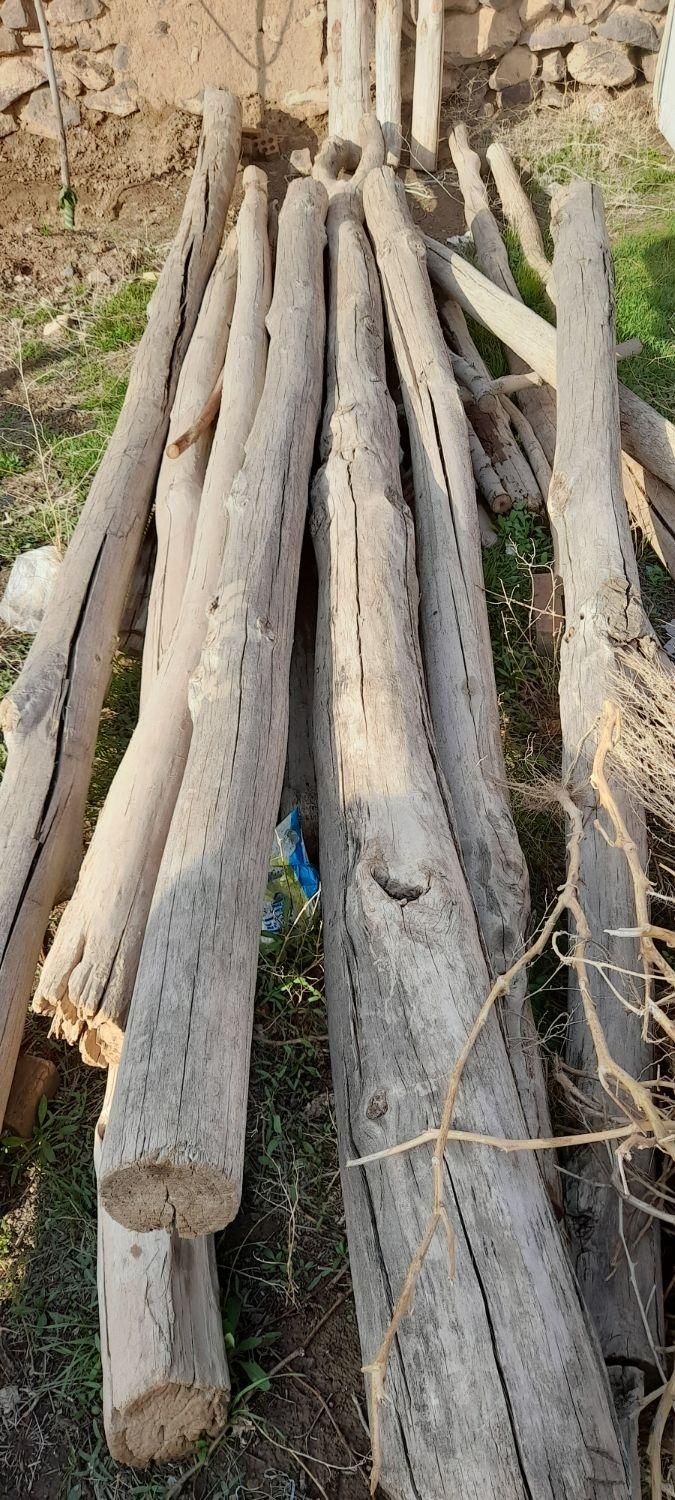 خریدهرنوع چوب|خدمات باغبانی و درختکاری|نیشابور, شهرک رسولی|دیوار