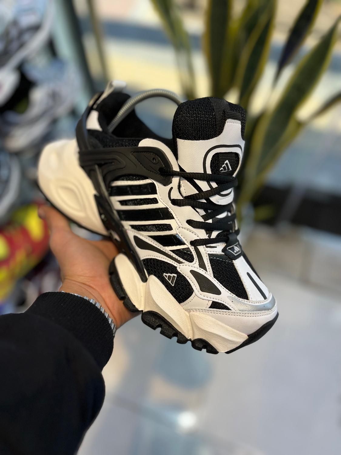 کتونی بالنسیاگا (آدیداس دیلاگس)|کیف، کفش، کمربند|قم, امامزاده ابراهیم|دیوار