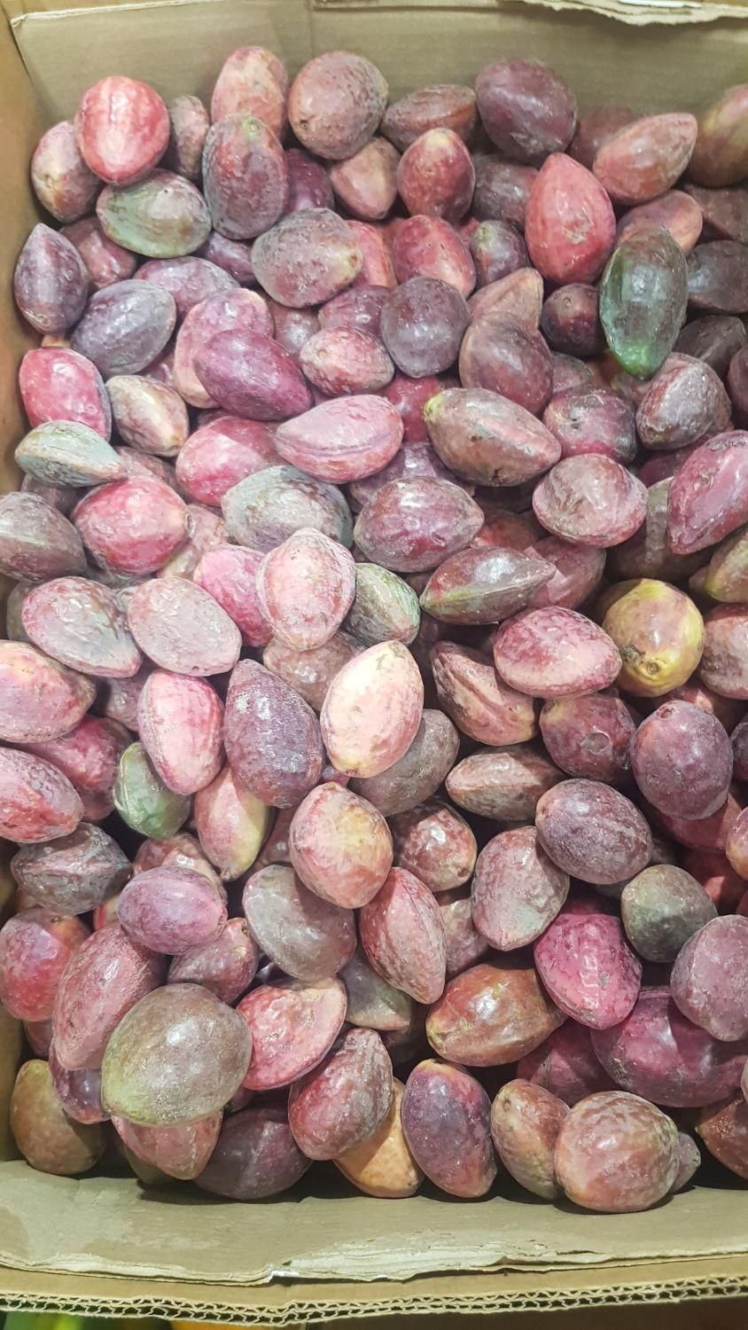 رطب و خرما درجه یک|خوردنی و آشامیدنی|اصفهان, ارغوانیه|دیوار