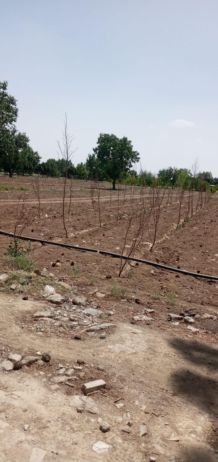 زمین باغی سندباغات روبروی تالارتازه تاسیس|فروش زمین و ملک کلنگی|تهران, کریم‌آباد|دیوار