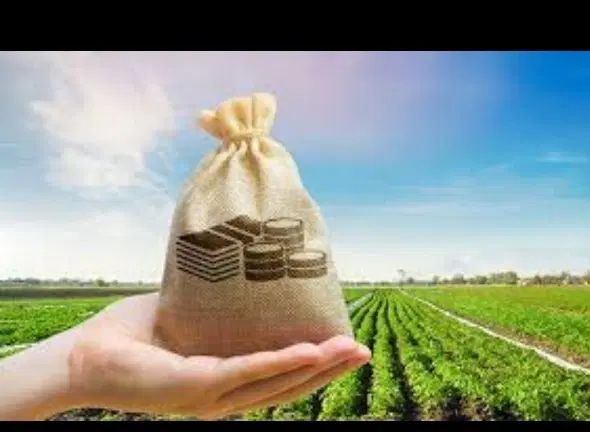 مشارکت در کسب و کار و جذب سرمایه گذار 100 تا 400 م|استخدام مالی، حسابداری، حقوقی|مشهد, آزادشهر|دیوار